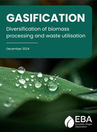 image: gasification - diversification of biomass processing and waste utiliisation